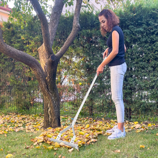 The garden thatch rake with a long handle resting on a pile of autumn leaves on a lawn