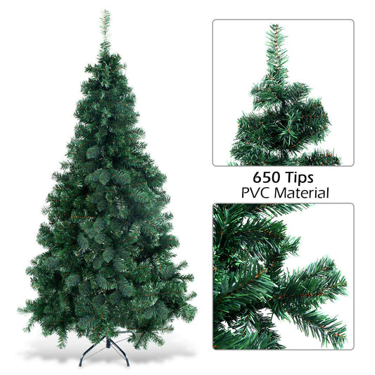 The christmas tree shown as a full product and close-up views of the dense green foliage