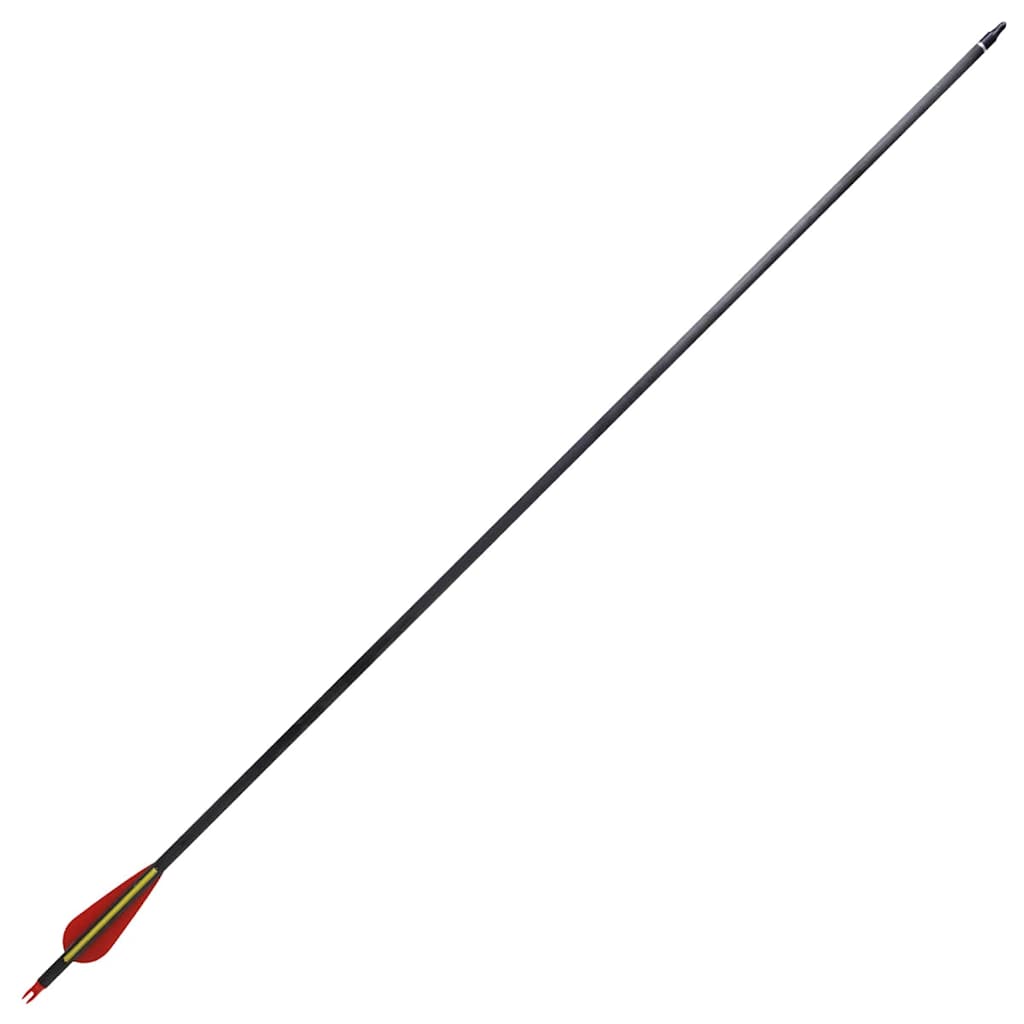 Standard Recurve Bow Arrows 30" 0.76 cm Carbon 12 pcs 5