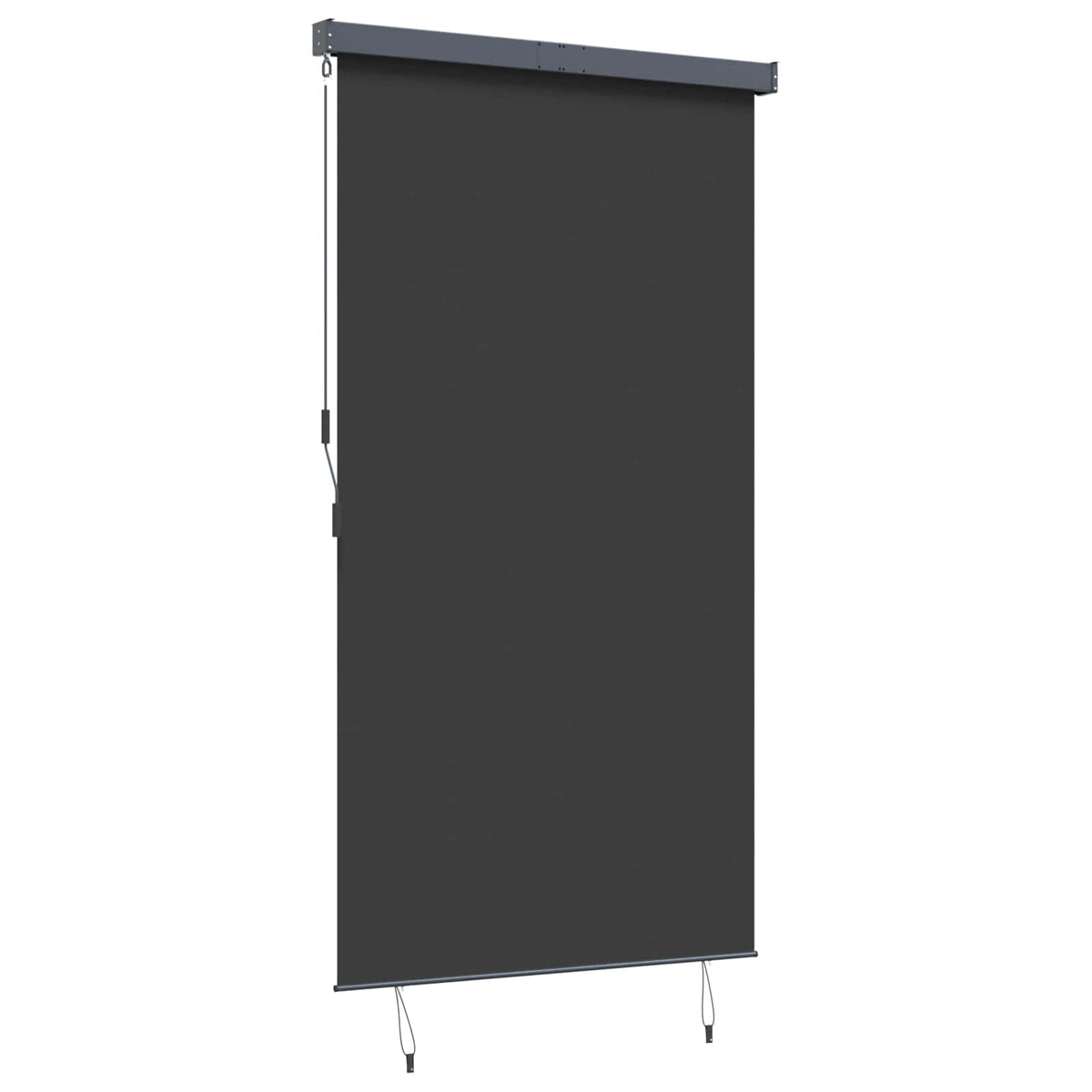 145970 vidaXL Outdoor Roller Blind 140x250 cm Anthracite 6
