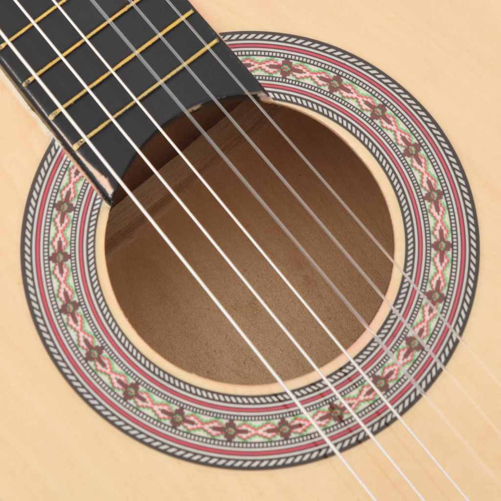 vidaXL Western Acoustic Cutaway Guitar with 6 Strings 38 Basewood 6