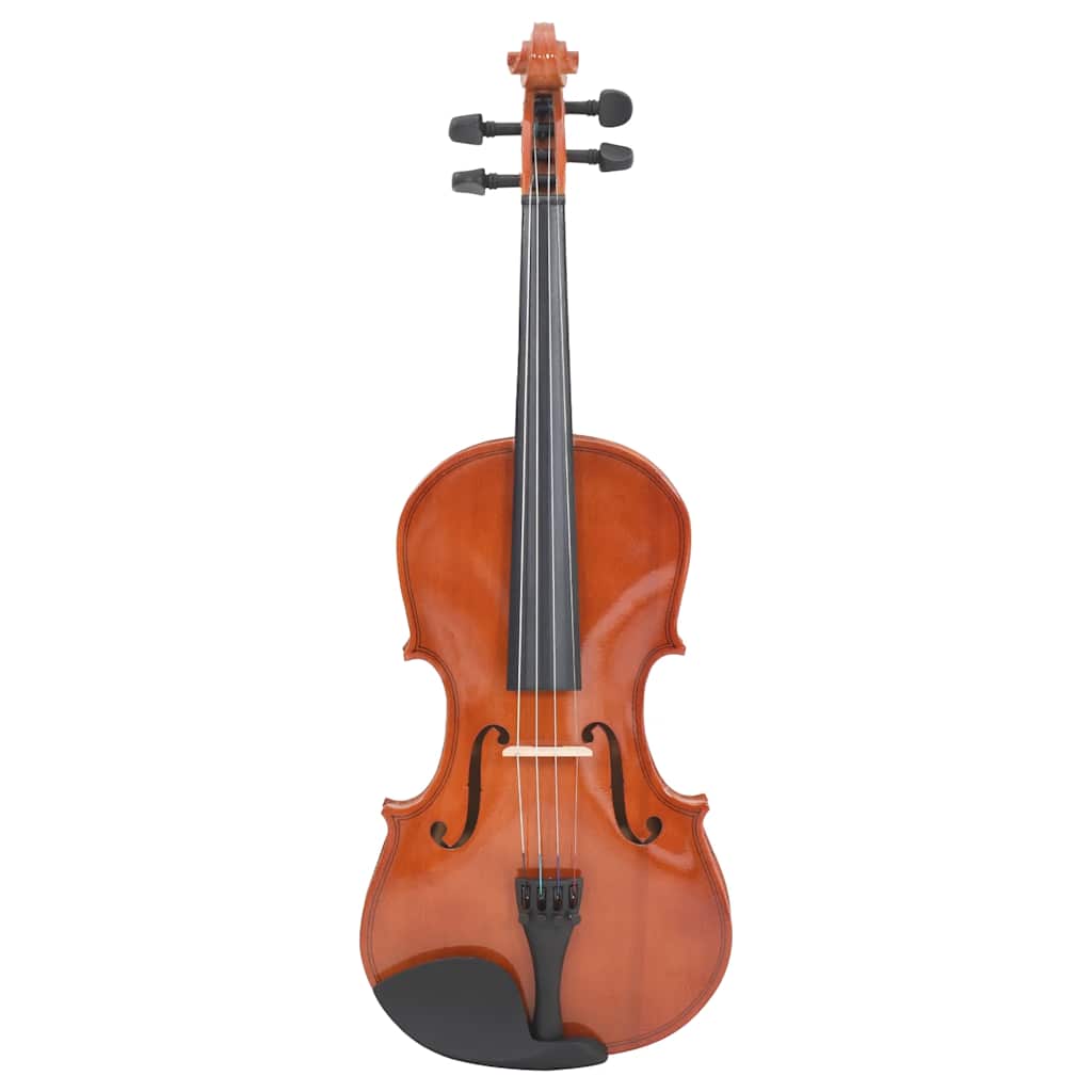 Violin Full Set with Bow and Chin Rest 4/4 Brown