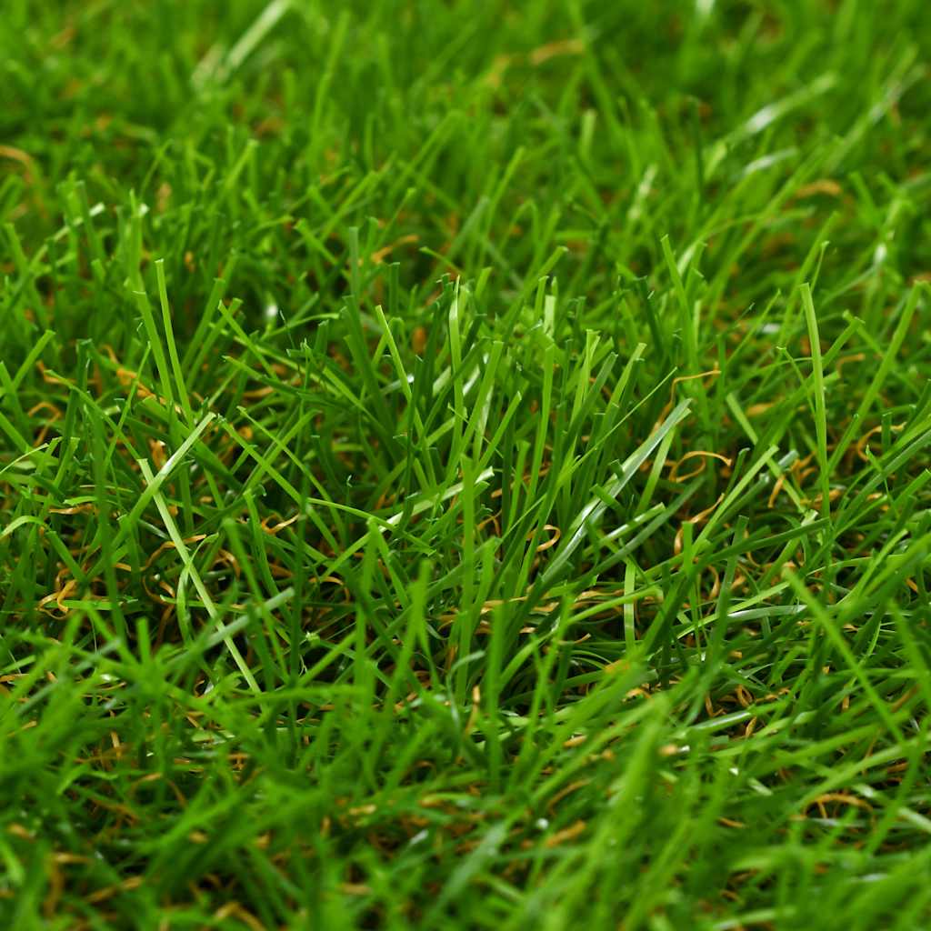 318329 vidaXL Artificial Grass 1x5 m/40 mm Green 3