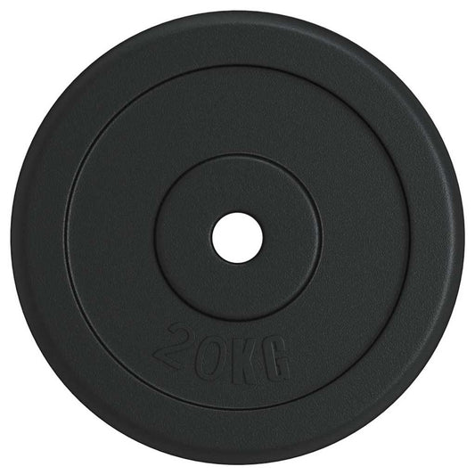 Weight Plates 4 pcs Cast Iron