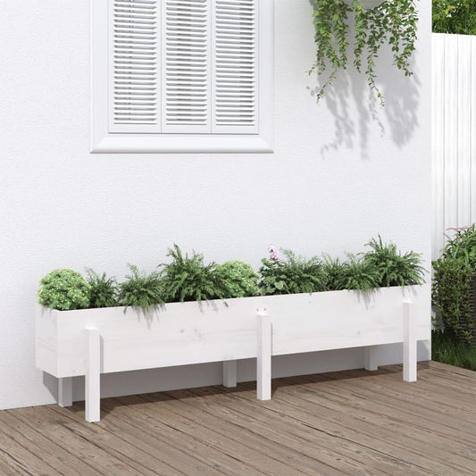 Garden Raised Bed White Solid Wood Pine Depth 30 cm 160 cm