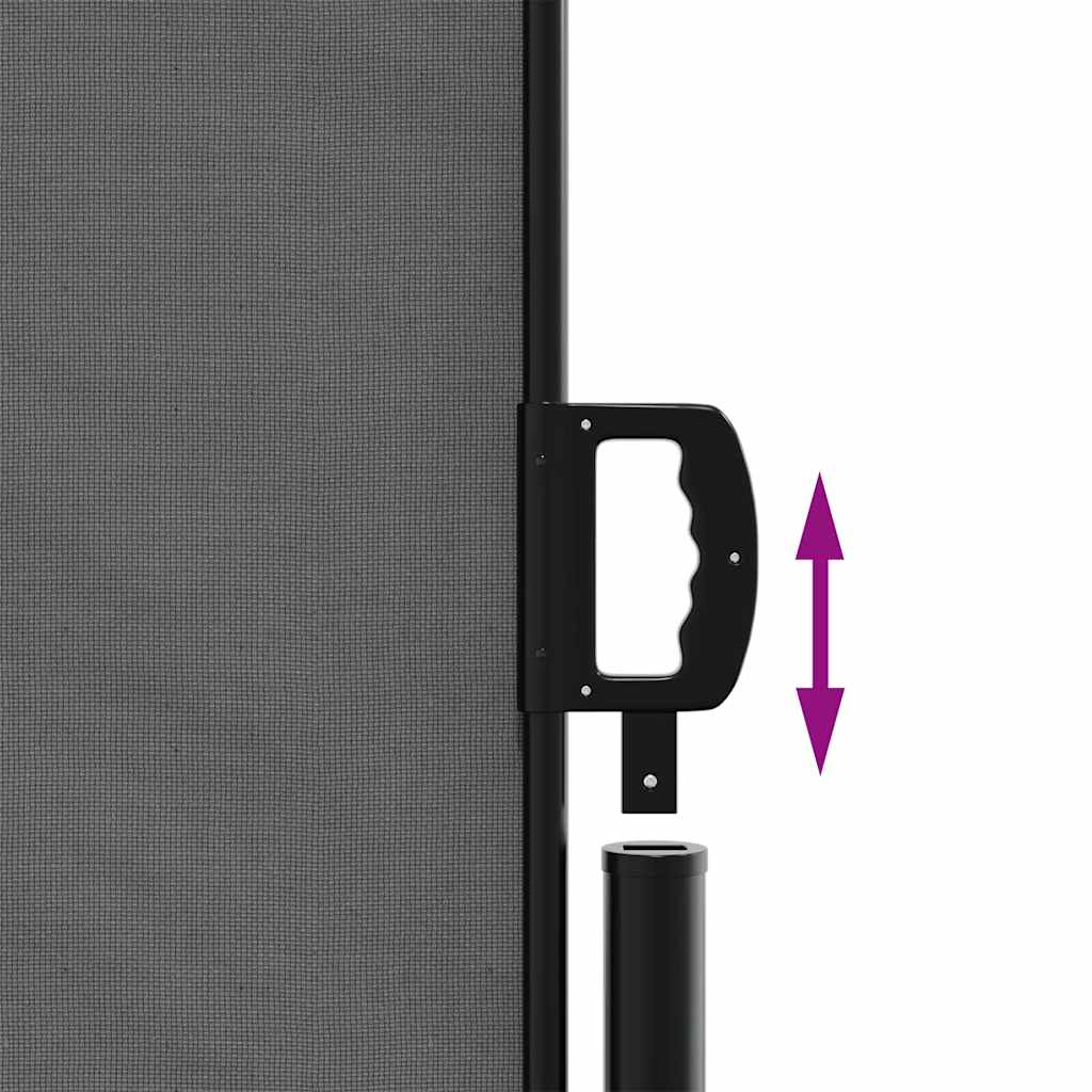 vidaXL Retractable Side Awning Anthracite 160x300 cm 6