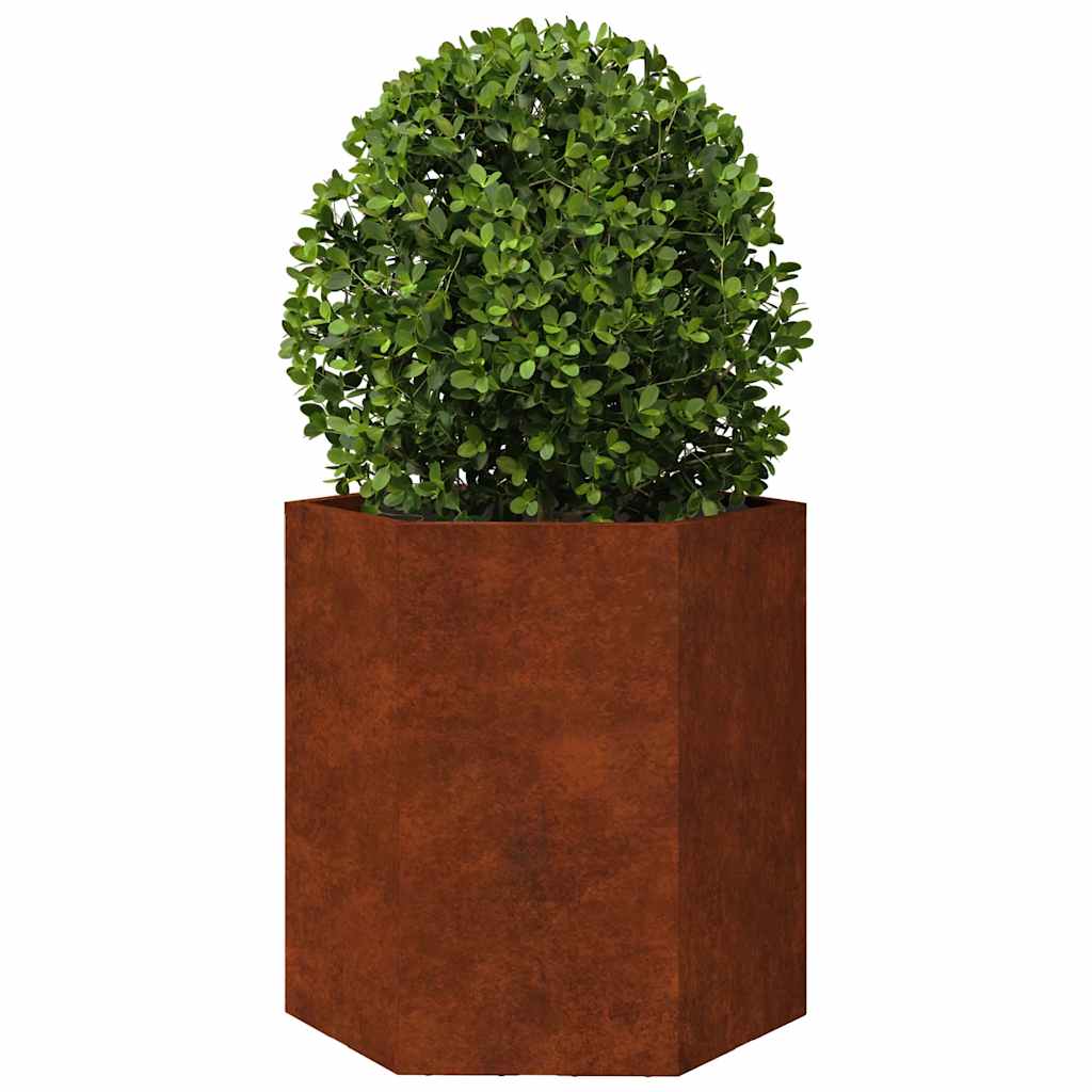 vidaXL Garden Planters 2 pcs Hexagon 46x40x45 cm Weathering Steel 6