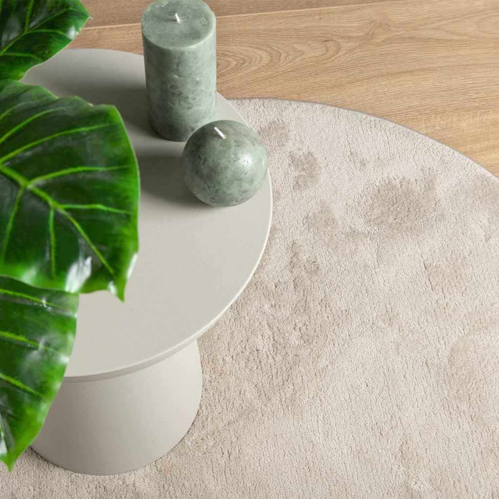 vidaXL Carpet HUARTE Beige 80 x 150 cm Polyester 6