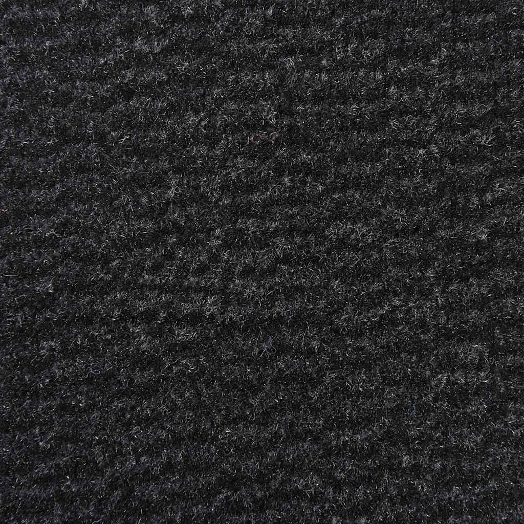 vidaXL Doormat Black 115x200 cm 6