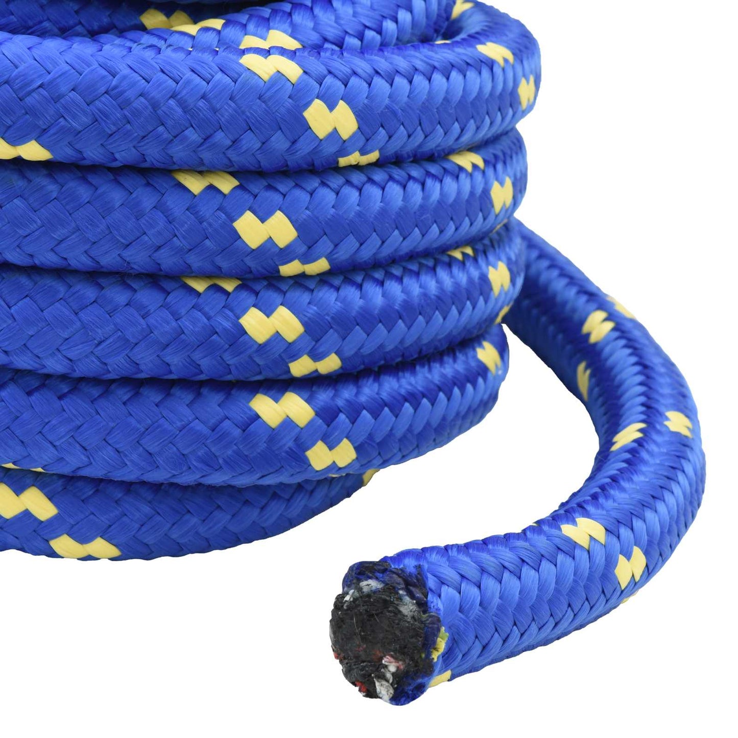 vidaXL Boat Rope 6 mm 5 m Blue 6