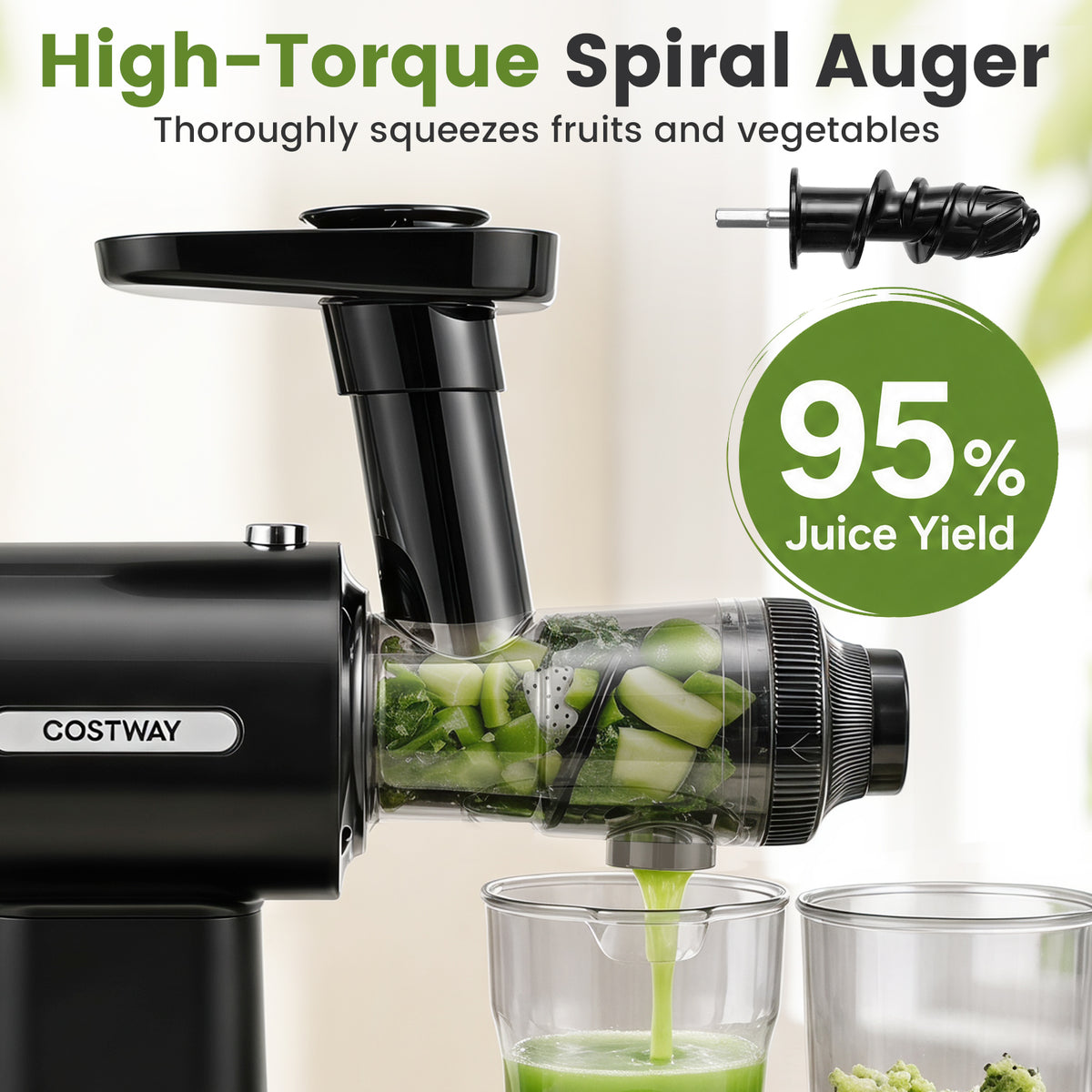 Cold Press Slow Juicer with High Juice Yield and Pusher for Fruits Vegetables-Black