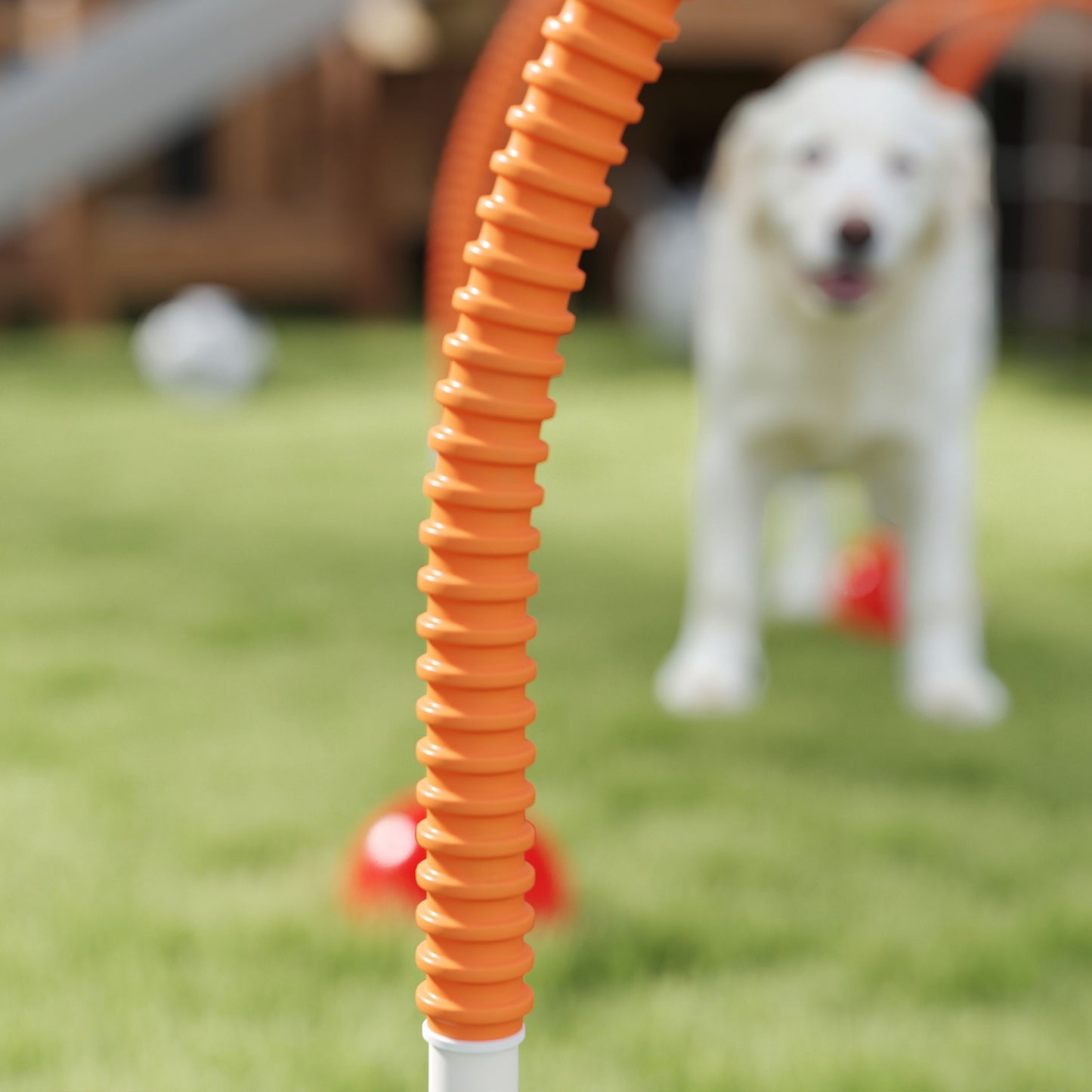 PawHut 4 Piece Dog Agility Training Equipment with 4 Adjustable Width Doors, Carry Bag, for Garden, Orange