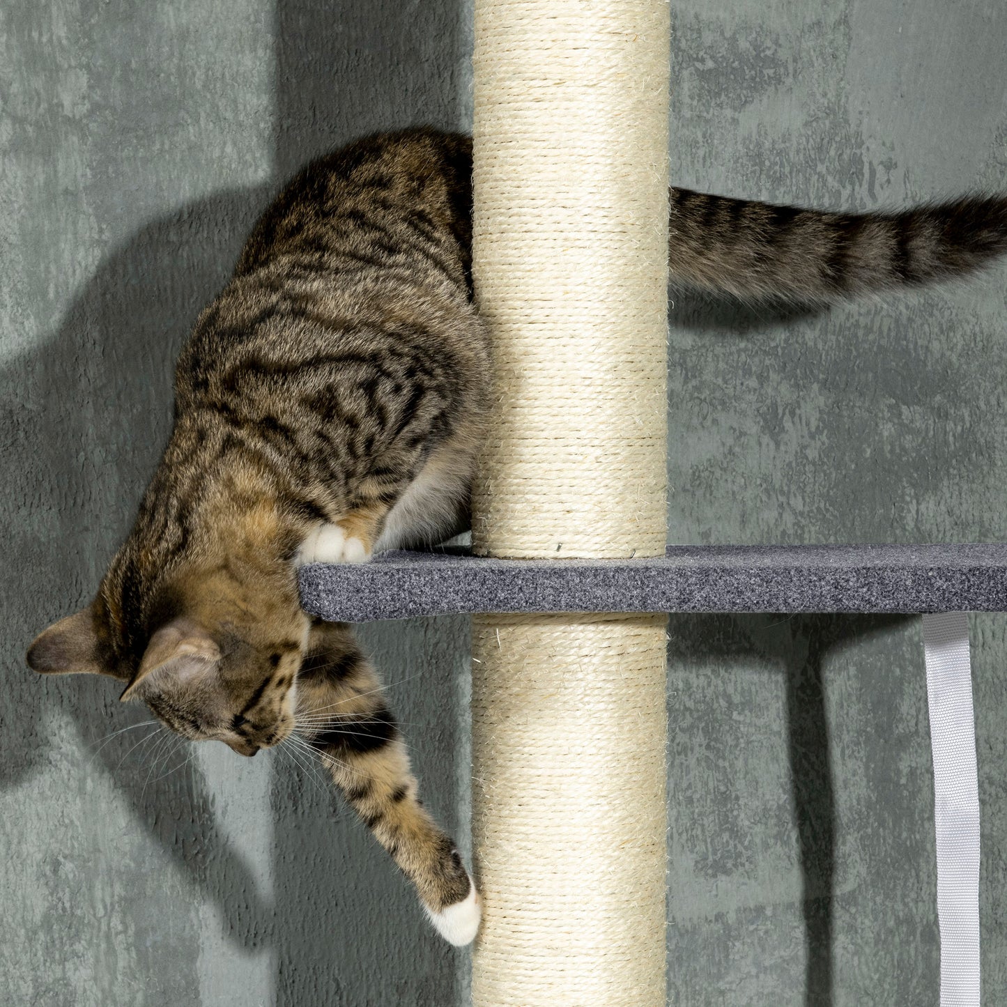 PawHut 240-270cm Floor-To-Ceiling Cat Tree, 5 Tier Cat Climbing Tower, with Bed, Hammock, Platforms, Dark Grey and Cream