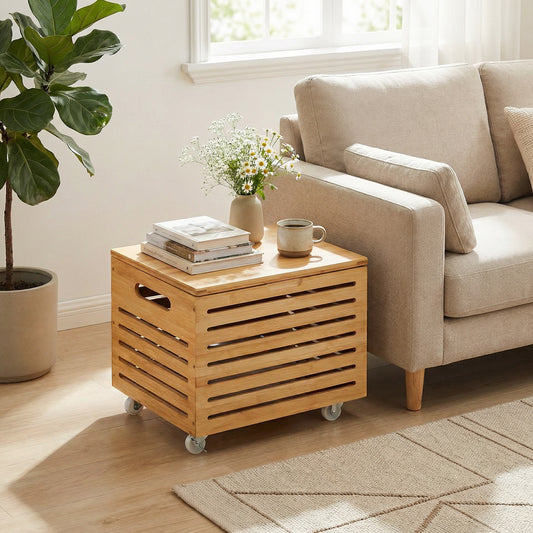 The shoe rack and storage bench next to a sofa, holding books and a vase