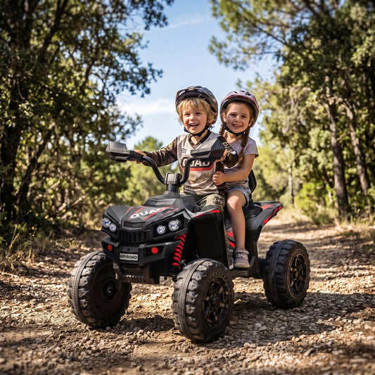 AIYAPLAY 24V 2 Seater Electric Quad Bike in Black