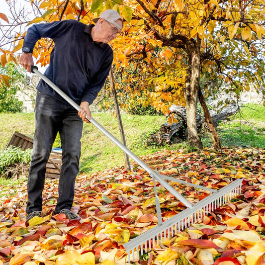 Man using the aluminum landscape rake to gather fallen leaves in a garden