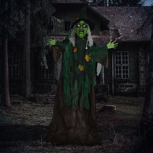 the Halloween witch decoration standing outside a dark house at night