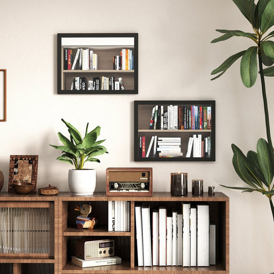Two black framed wall mirrors hanging above a wooden cabinet with books and plants