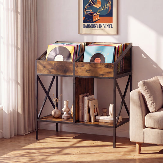 The record holder is shown in a living room setting with vinyl records stored inside