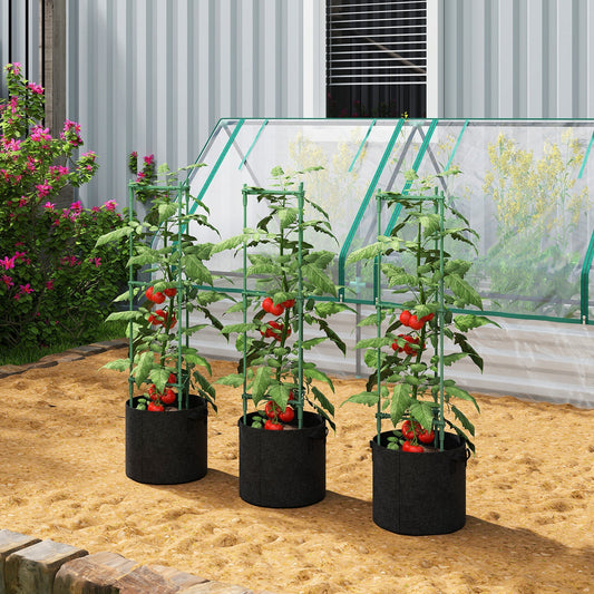 Three tomato cages with growing tomato plants in a garden setting