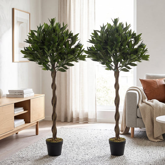 Two artificial bay laurel trees with twisted trunks in black pots placed in a living room setting