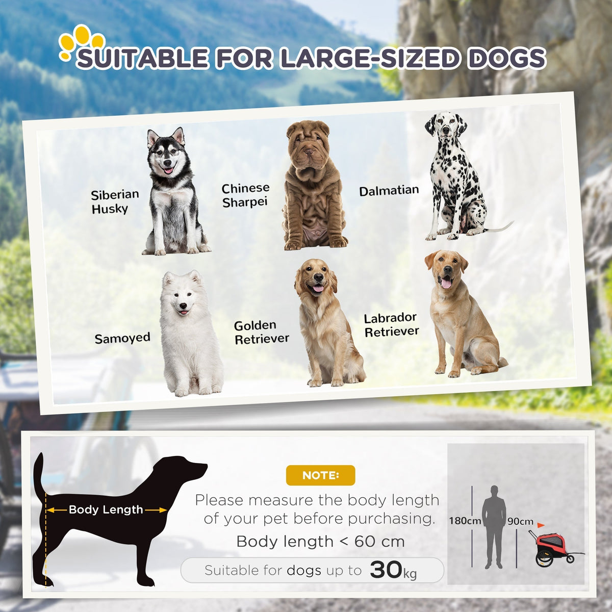 Illustration of different dog breeds and a diagram showing how to measure a dog's body length