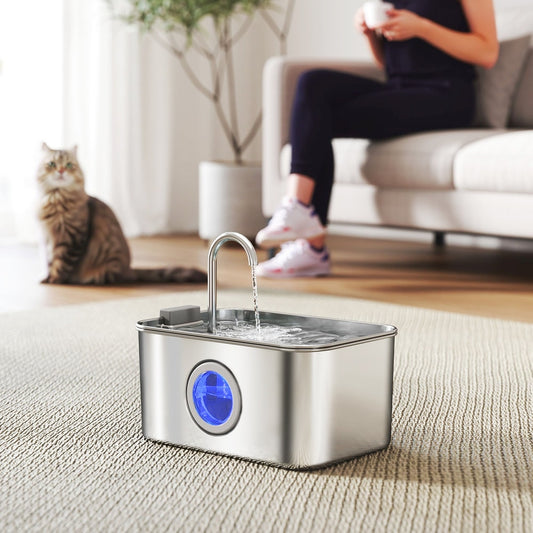 The pet water fountain on a rug with a blue light glowing through the water level window