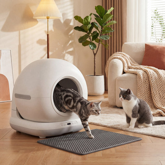 The automatic litter box in a living room with two cats, one entering the unit
