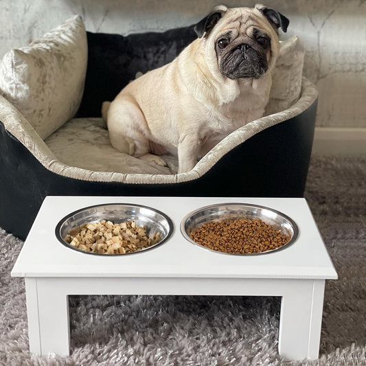 A pug sits behind a white raised dog feeding station filled with food