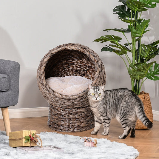 A tabby cat stands next to the raised rattan cat basket in a living room setting