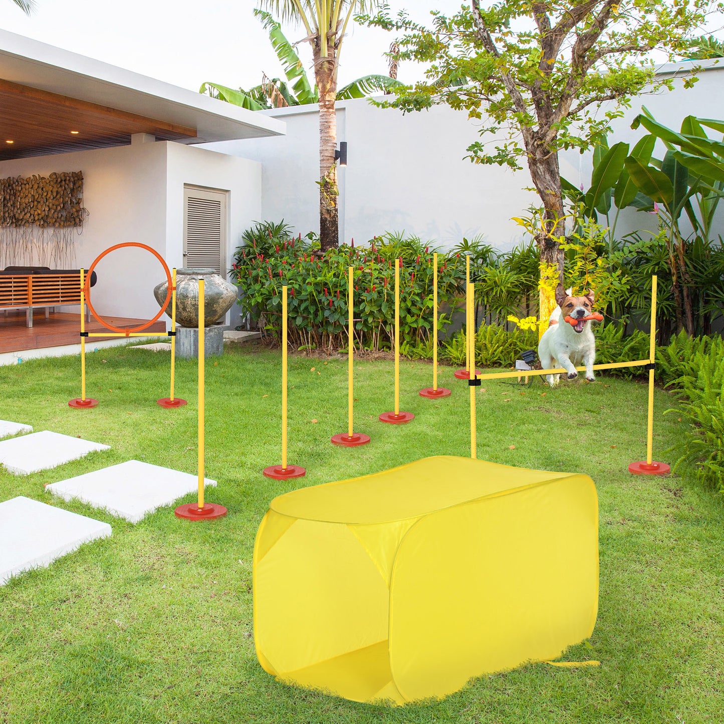 مجموعة حواجز تدريب الكلاب المحمولة من Pawhut Dog Agility Equipment مكونة من 5 قطع مع عمود قفز عالي قابل للتعديل وحلقة قفز وأعمدة منسوجة ونفق