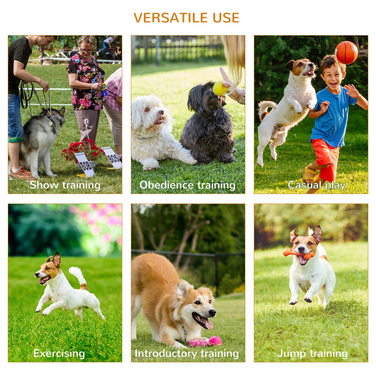 مجموعة حواجز تدريب الكلاب المحمولة من Pawhut Dog Agility Equipment مكونة من 5 قطع مع عمود قفز عالي قابل للتعديل وحلقة قفز وأعمدة منسوجة ونفق