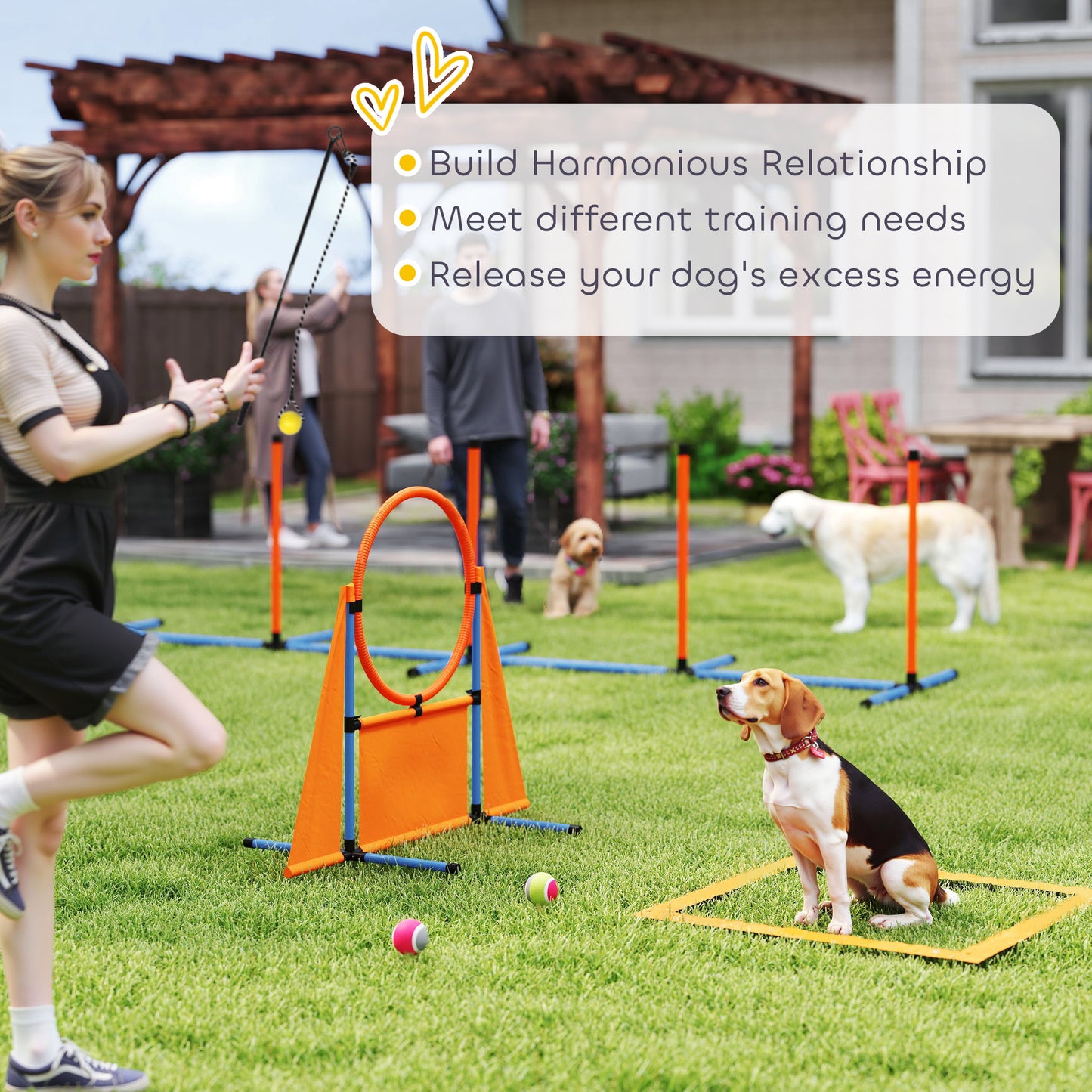 PawHut 7-Piece Dog Agility Equipment Set with Weave Poles, Jump Ring and Hurdle, Pause Box and Carry Bag, Orange