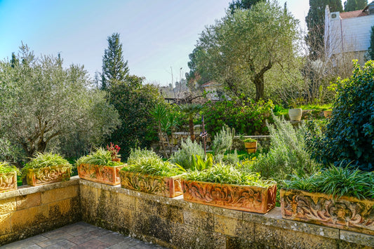 Lush green garden with potted plants and trees.