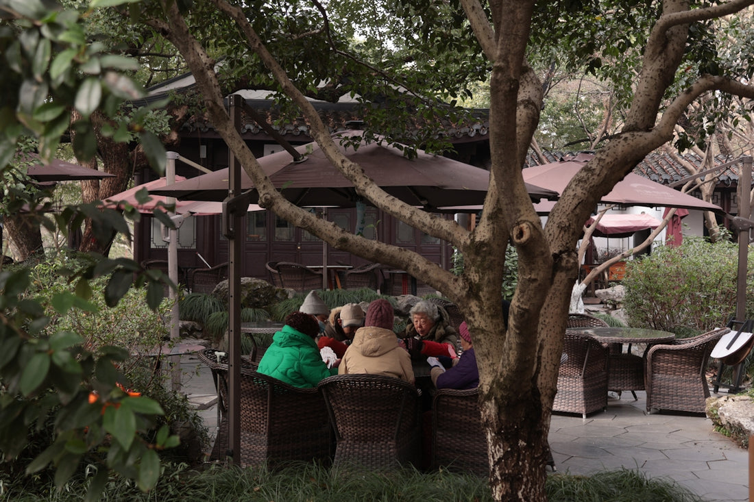 Three people in colorful clothes huddle in a garden.