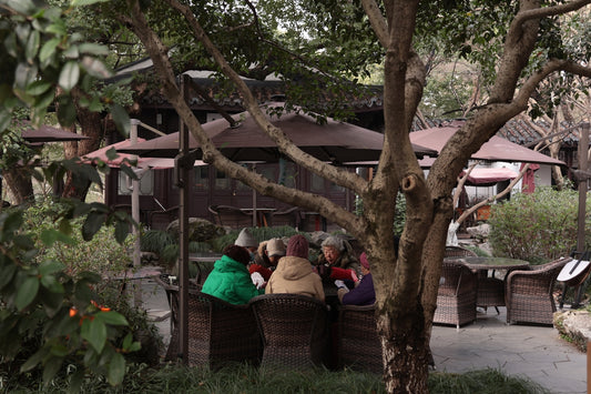 Three people in colorful clothes huddle in a garden.