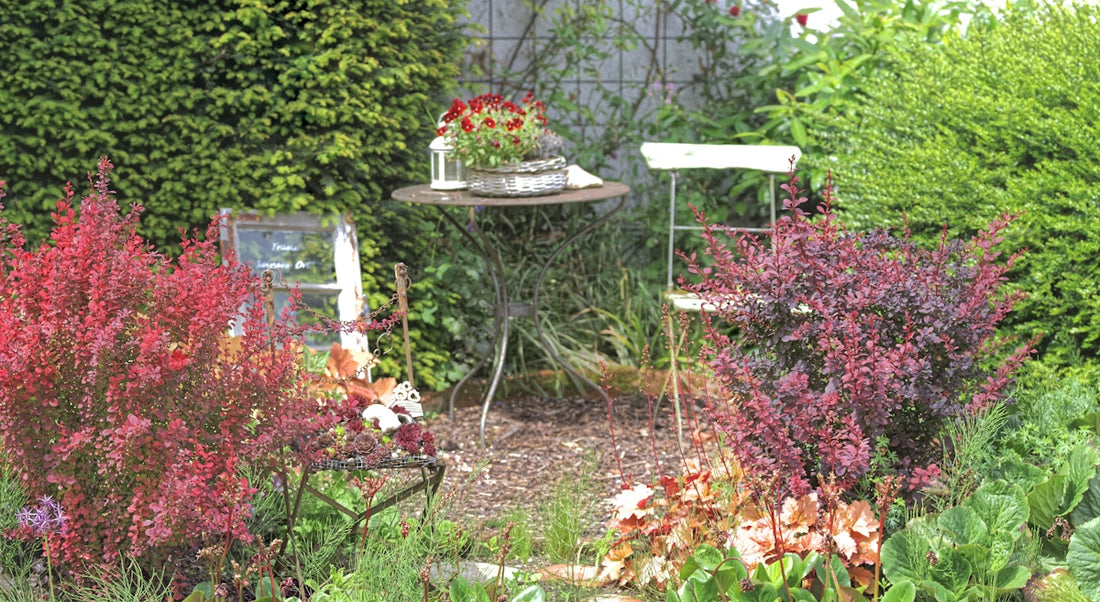 Cozy garden corner with a table, chairs, and vibrant plants