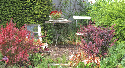 Cozy garden corner with a table, chairs, and vibrant plants