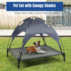 Elevated Pet Bed with Removable Canopy