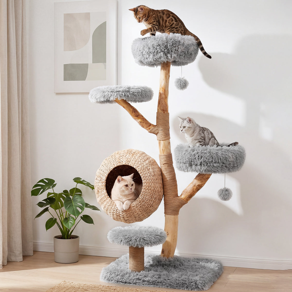 The cat tree placed in a bright living room next to a green houseplant with cats playing