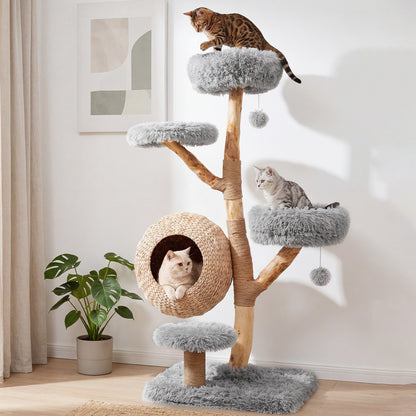 The cat tree placed in a bright living room next to a green houseplant with cats playing
