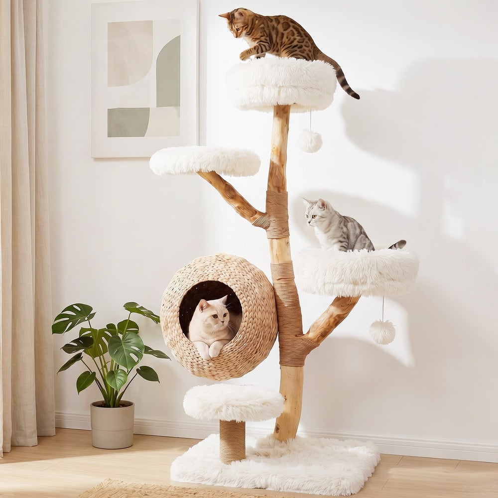 The cat tree with three cats in a bright room with a plant