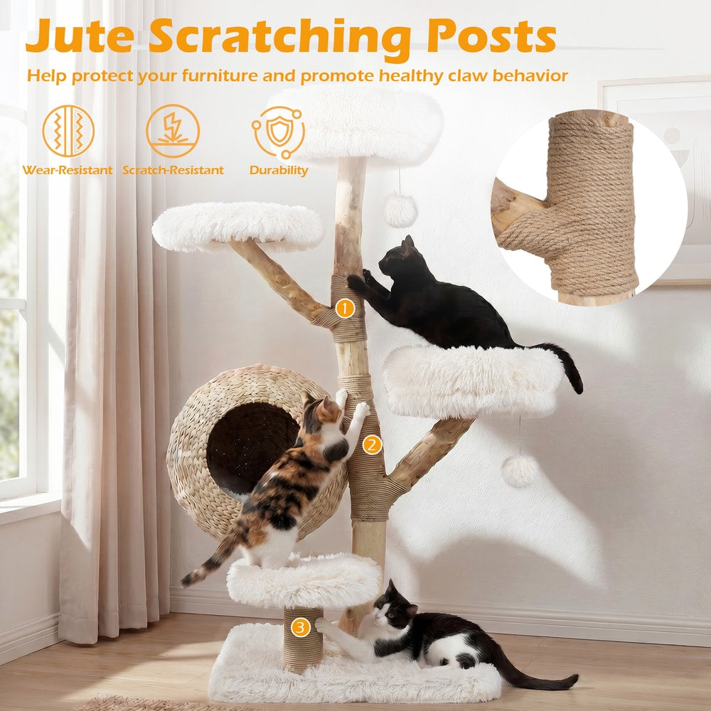The cat tree scratching posts with three cats using them