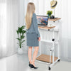 2-In-1 Mobile Lifting Height Adjustable Computer Desk