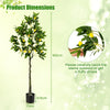 160cm Tall Set of 2 Fake Lemon Plant with Lemon Fruits and Cement Pot
