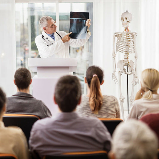 The human skeleton model standing in a lecture hall while a doctor explains an x-ray to students
