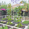 2-Pack 197 cm Garden Trellis for Climbing Plants-Black