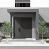 2-Piece 1.65 m Artificial Eucalyptus Tree with Silver Dollar Leaves