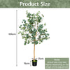 2-Piece 1.65 m Artificial Eucalyptus Tree with Silver Dollar Leaves
