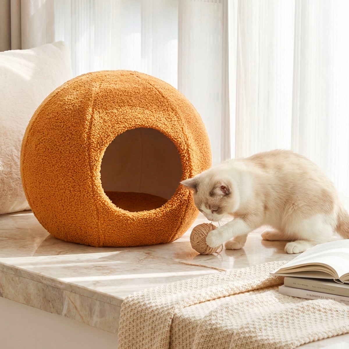 the cat furniture, a cat playing with a ball of yarn next to the snail shell opening